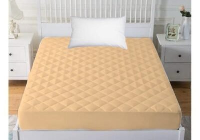 WhatsApp-Image-2025-10-12-at-4.53.41-PM