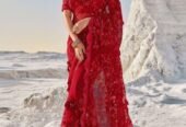 INDIAN STYLISH SAREE
