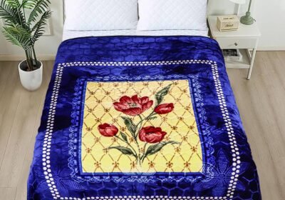 WhatsApp-Image-2025-11-01-at-12.19.29-PM