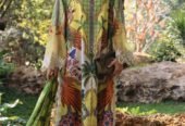 MARIA B M PRINT LAWN COLLECTION 2026